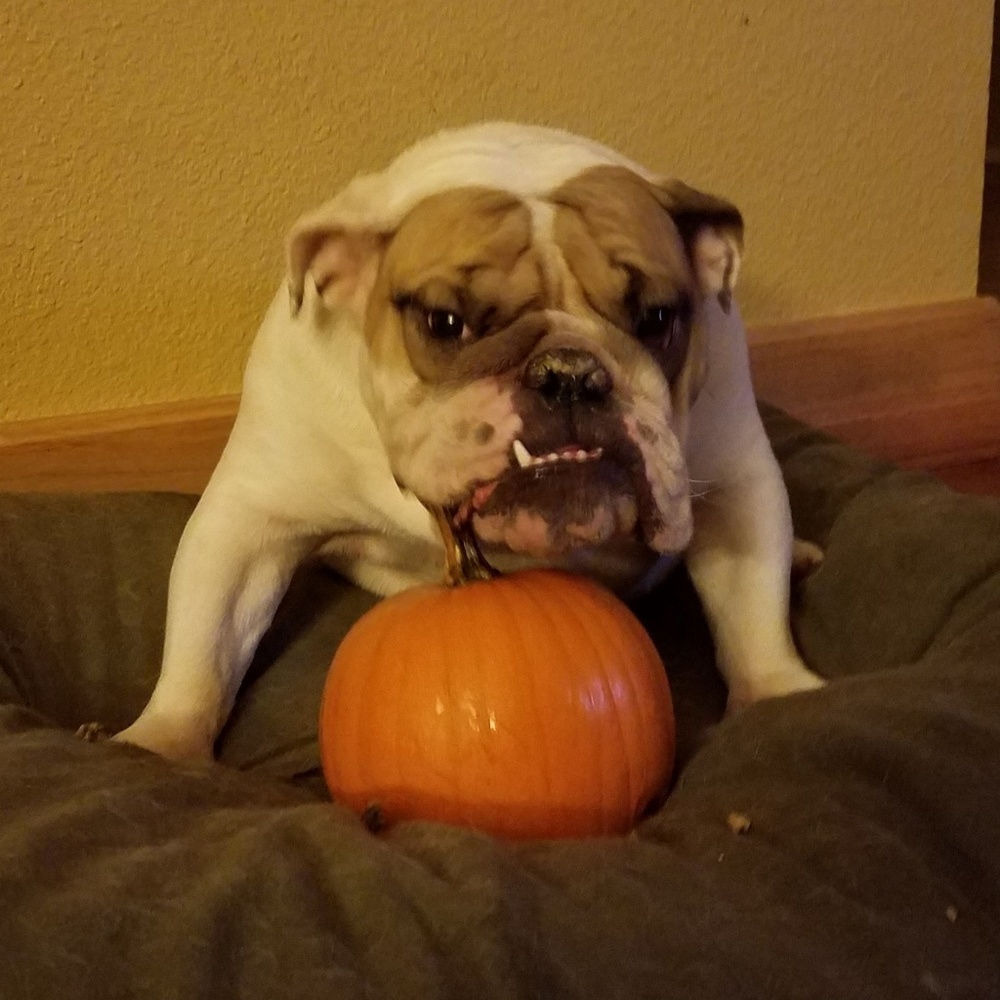 Meet your Posher, Tyra